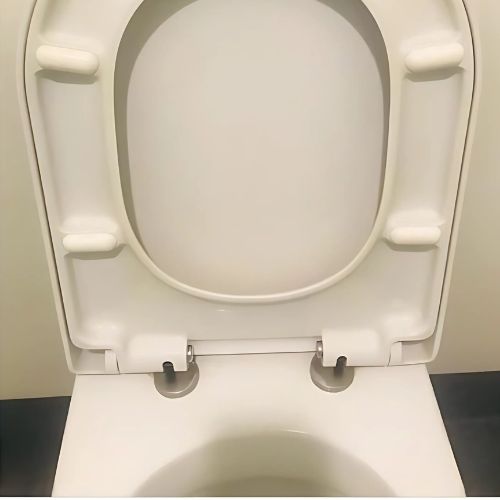 After cleaning toilet