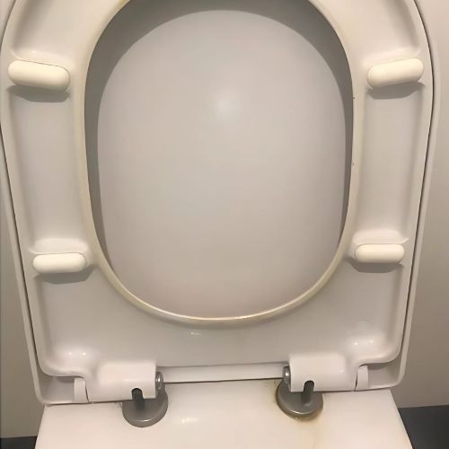 Before cleaning toilet